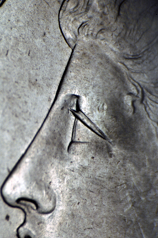 https://koinpro.tripod.com/CPG5II/1887_1_Dol_Alligator_Eye_VAM12and12a.jpg