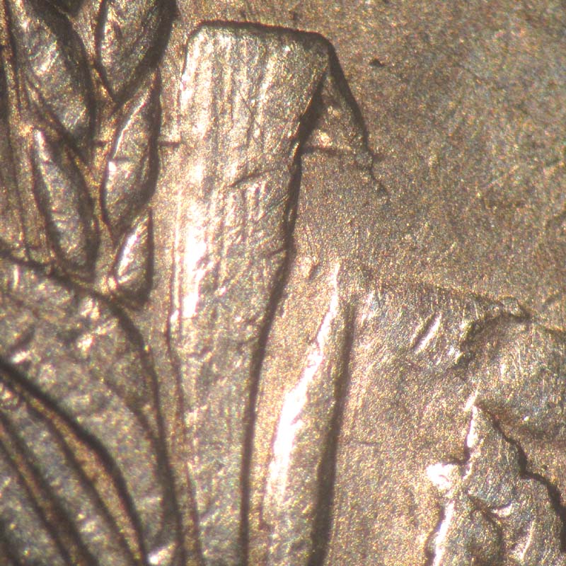 https://koinpro.tripod.com/CPG5II/1921S_v1b7polishedwheatleaf_John_Roberts_Image.jpg
