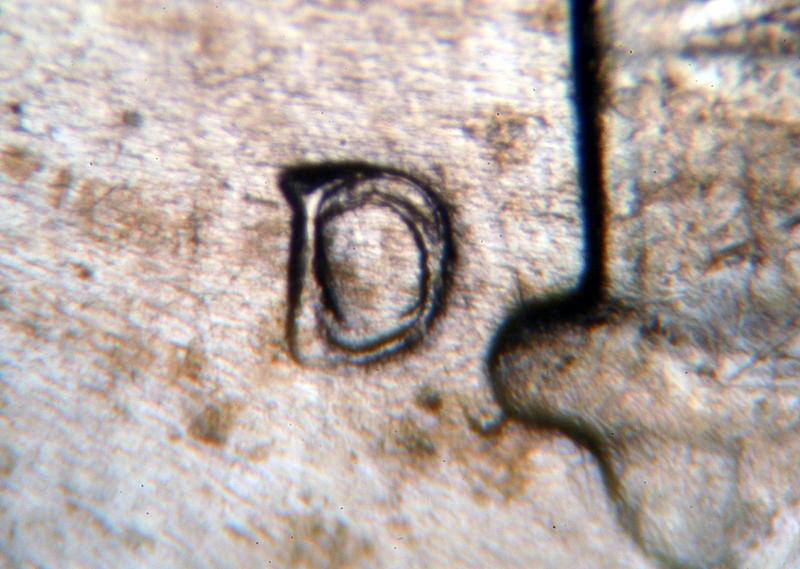 https://koinpro.tripod.com/CPG5II/1951D_10c_RPM001.jpg