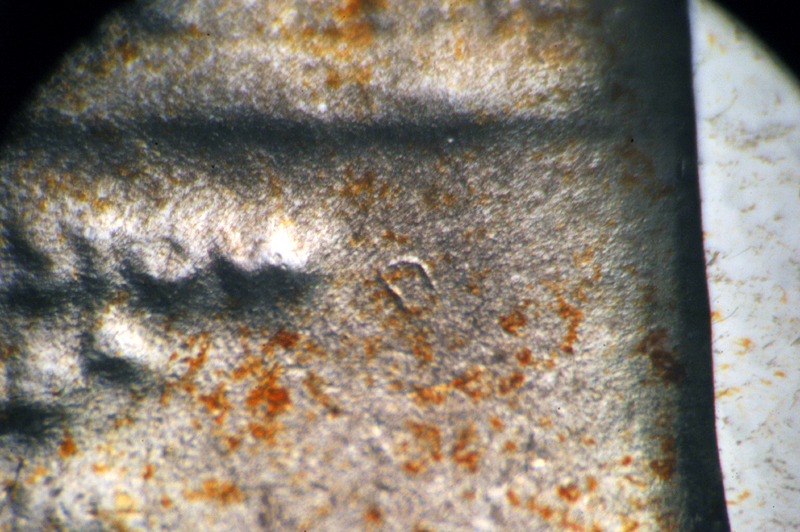 https://koinpro.tripod.com/CPG5II/50cProof_Misplaced_D_on_Rev_Sub_by_Brian_Raines.jpg